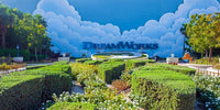 Dubai Parks and Resorts™: Two Park Pass