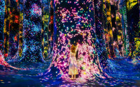 TeamLab: General Admission