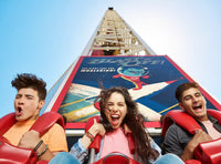 Dubai Parks and Resorts™: Two Park Pass