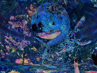 TeamLab: General Admission