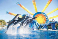 Sea World: General Admission