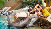 Sea World: General Admission