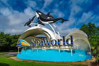 Sea World: General Admission