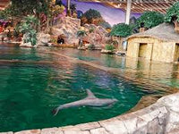 Sea World: General Admission