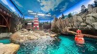 Sea World: General Admission