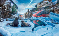 Sea World: General Admission