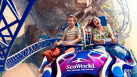 Sea World: General Admission