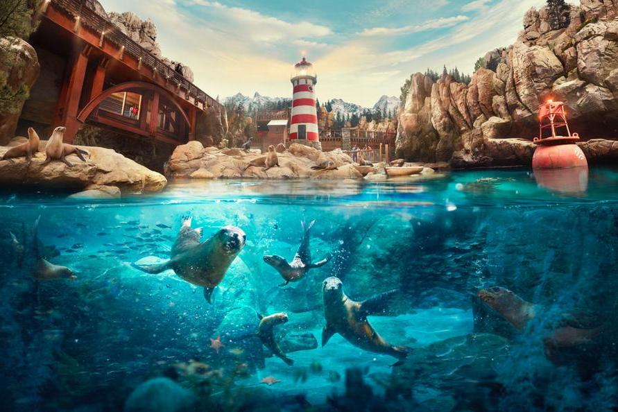 Sea World: General Admission