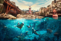 Sea World: General Admission