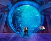 Sea World: General Admission