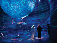TeamLab: General Admission