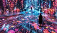 TeamLab: General Admission